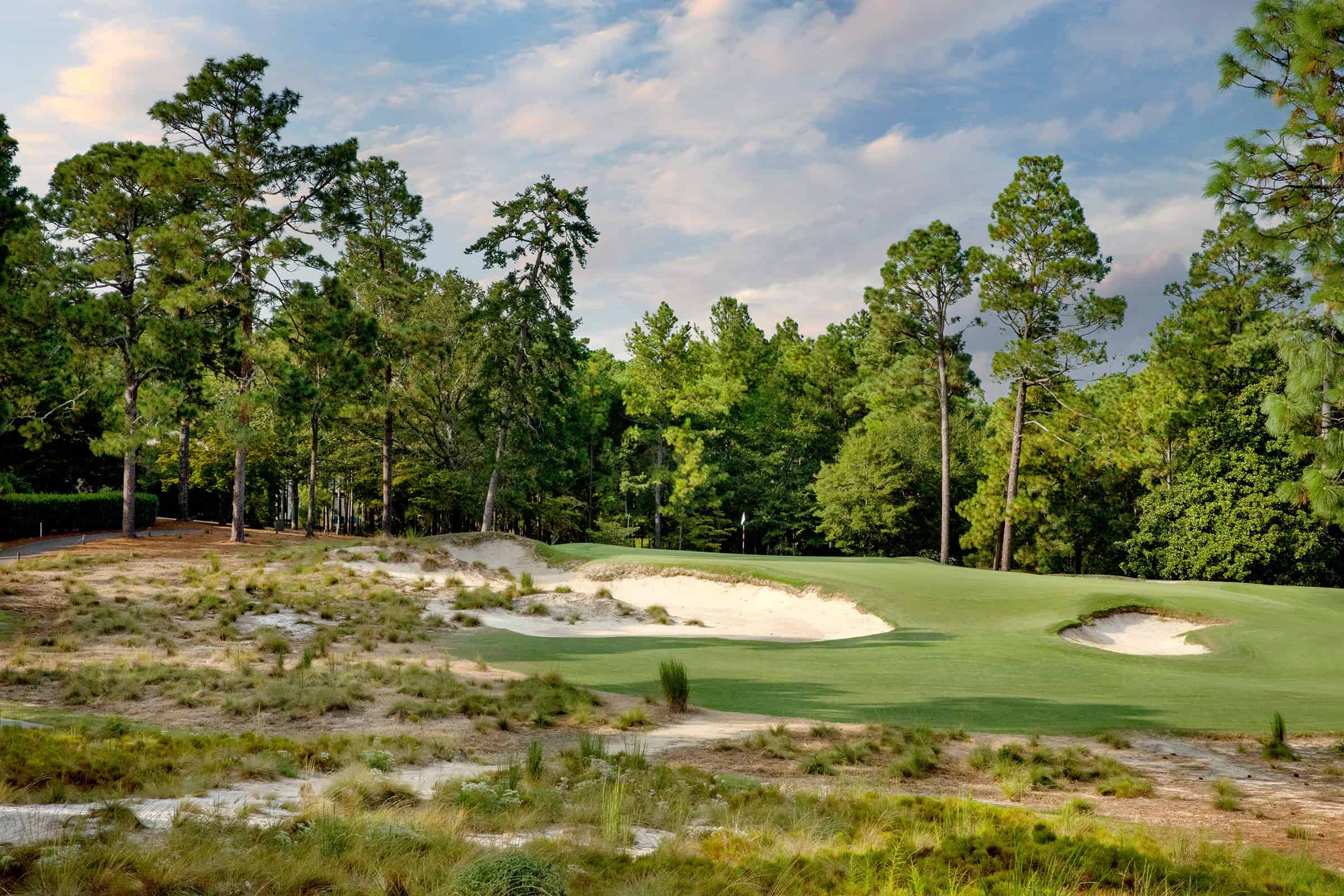 Pinehurst Golf Club Symbol