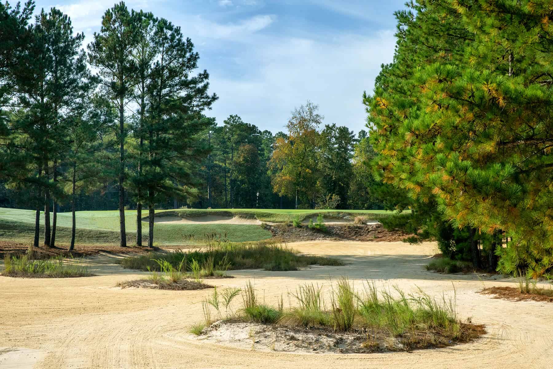 Hole 12 at Pinehurst No. 8