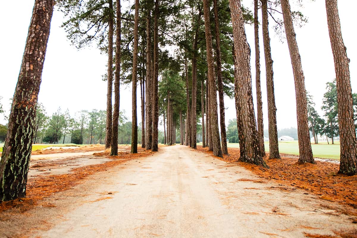 golf cart path around Pinehurst golf courses